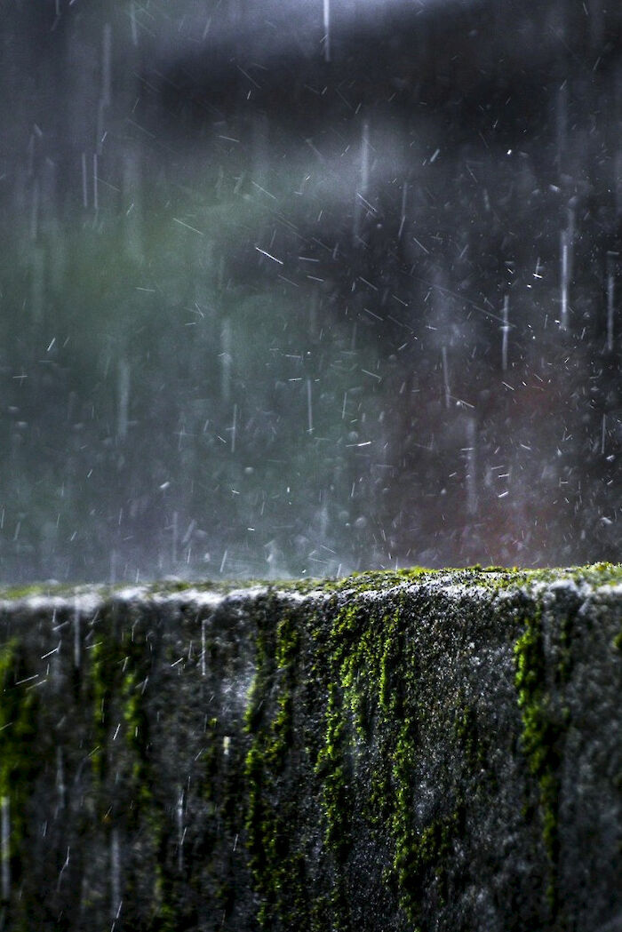 Kevin Wang / Unsplash